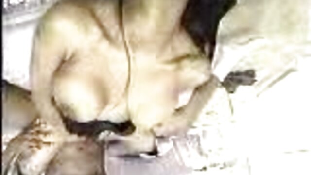 Краще порно : Вся натуральна темноволоса porno 1080 Японська мілфа зайнята тим, що ніжно смокче член Фільми для дорослих